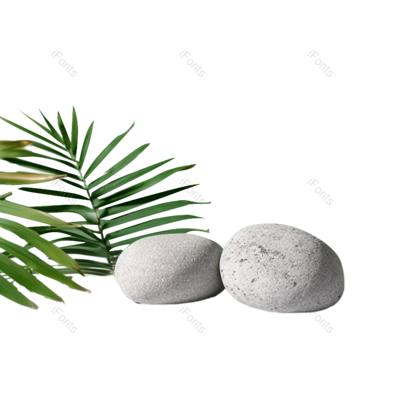 叶子图片,装饰元素,商品PNG,摄影免抠素材